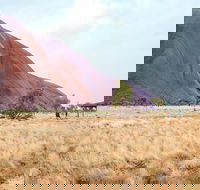 Uluru Sunrise and Guided Base Walk - Sydneys Hotel