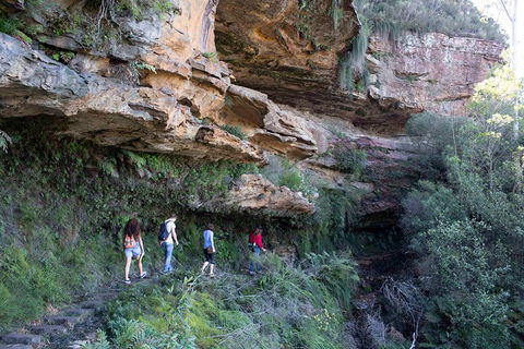 Blue Mountains Nature And Wildlife Day Tour From Sydney - Sydneys Hotel 2