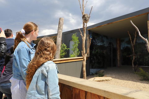 Blue Mountains Nature And Wildlife Day Tour From Sydney - Sydneys Hotel 3