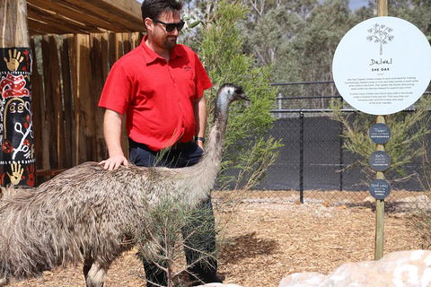 Blue Mountains Nature And Wildlife Day Tour From Sydney - Sydneys Hotel 5
