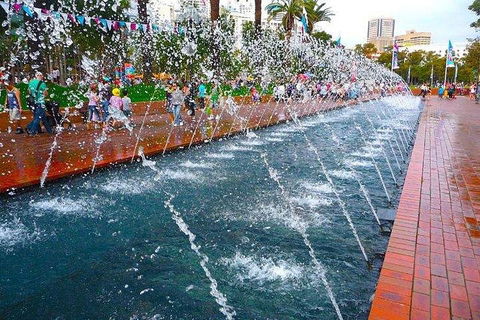 Morning Or Afternoon Highlights Tour In Sydney With A Local Guide - Sydneys Hotel 1