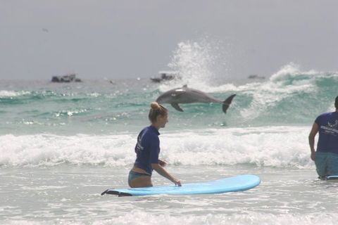 10-Day Surf Adventure From Sydney To Brisbane Including Coffs Harbour, Byron Bay And Gold Coast - Sydneys Hotel 0