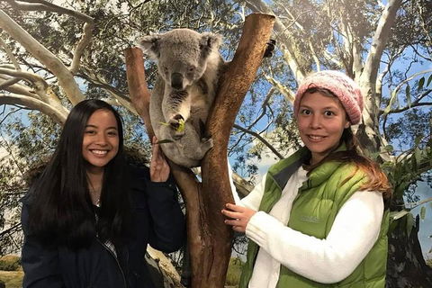 Australia Multi-City Attractions Pass - Sydneys Hotel 3