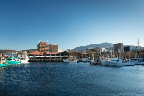 Hobart City Sightseeing Tour Including MONA Admission - Sydneys Hotel 0