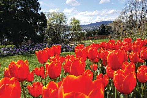 Hobart City Sightseeing Tour Including MONA Admission - Sydneys Hotel 4