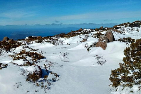 Mt Wellington Ultimate Experience Tour From Hobart - Sydneys Hotel 4