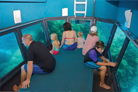 Great Barrier Reef Adventure From Cairns - Sydneys Hotel 1
