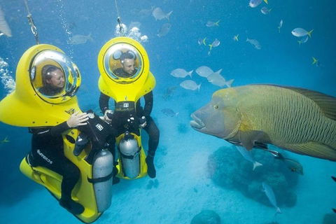 Great Barrier Reef Adventure From Cairns - Sydneys Hotel 2