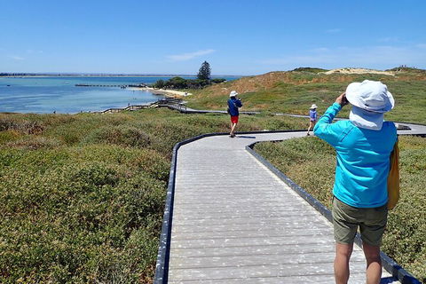 Penguin And Seal Islands Sea Kayaking Experience - Sydneys Hotel 1