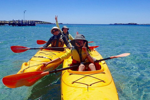 Penguin And Seal Islands Sea Kayaking Experience - Sydneys Hotel 4