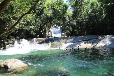 Double Pack-Ancient Rainforest And Waterfalls! - Sydneys Hotel 2