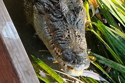 Litchfield Park Adventures And Jumping Crocodile Cruise + Butterfly Farm - Sydneys Hotel 1