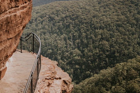 Private Blue Mountains And Wildlife Park Tour From Sydney With Barbecue Lunch - Sydneys Hotel 5