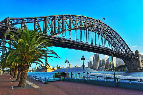 Sydney Half Day Tour With A Local: 100% Personalized & Private â˜…â˜…â˜…â˜…â˜… - Sydneys Hotel 1