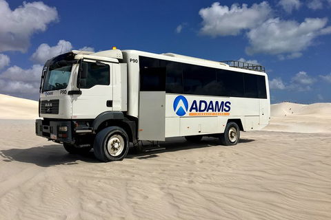 Pinnacles Desert, Koalas And Sandboarding 4WD Day Tour From Perth - Sydneys Hotel 2