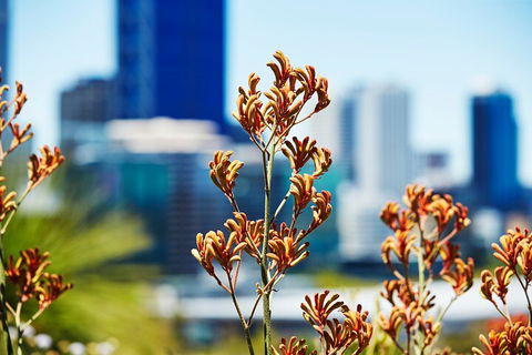 Best Of Perth Wildflower Season Day Trip - Sydneys Hotel 4