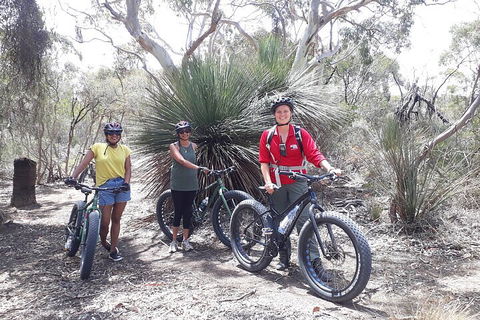 2 Hour Bike Tour In Kangaroo Island - Sydneys Hotel 0