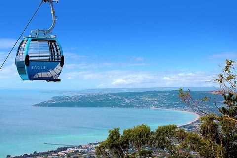 Peninsula Hot Springs Tour With Restaurant Lunch & Gondola Ride - Sydneys Hotel 1