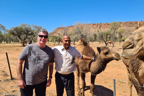 West MacDonnell Ranges Half-Day Small-Group Tour With Camel Ride - Sydneys Hotel 1