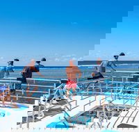 Calypso Outer Great Barrier Reef Cruise from Port Douglas - Sydneys Hotel
