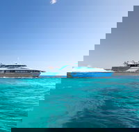 Rottnest Island All-Inclusive Grand Island Tour from Fremantle - Sydneys Hotel