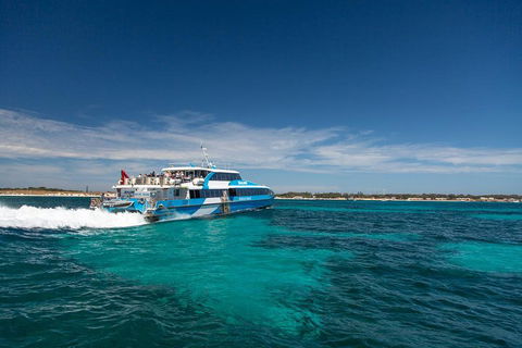 Perth To Rottnest Island Roundtrip Ferry Ticket - Sydneys Hotel 4