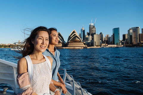Sydney Whale-Watching Cruise - Sydneys Hotel 4