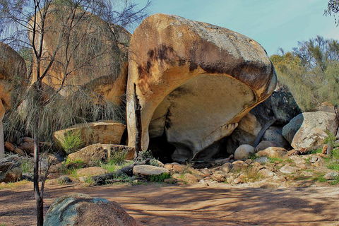 Wave Rock And Pinnacles Air & Ground Tour - Sydneys Hotel 3