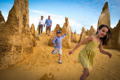Full-Day Pinnacles Desert And Yanchep National Park Tour From Perth - Sydneys Hotel 0