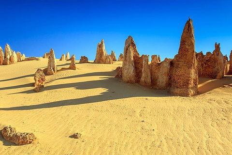 Full-Day Pinnacles Desert And Yanchep National Park Tour From Perth - Sydneys Hotel 2
