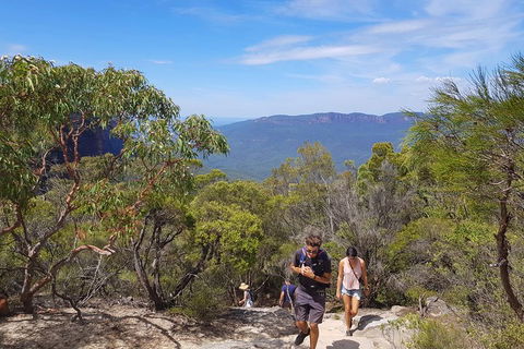 Blue Mountains Unique Small-Group Day Adventure With BBQ Lunch - Sydneys Hotel 3