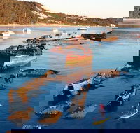 Adventure Moreton Island Wrecks Adventure Package - Sydneys Hotel