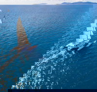 2-Night Whitsunday Islands Sailing Adventure on Trimaran Avatar - Sydneys Hotel