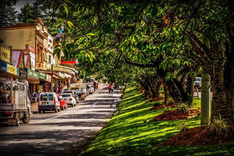 Fully Inclusive Blue Mountains Private Tour Inc Scenic World & Featherdale Entry - Sydneys Hotel 0