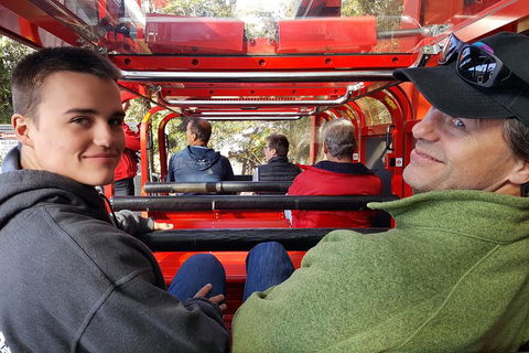 Fully Inclusive Blue Mountains Private Tour Inc Scenic World & Featherdale Entry - Sydneys Hotel 1