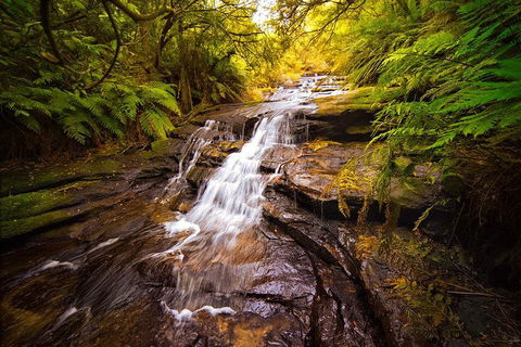 Fully Inclusive Blue Mountains Private Tour Inc Scenic World & Featherdale Entry - Sydneys Hotel 3