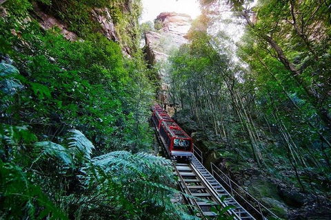 Fully Inclusive Blue Mountains Private Tour Inc Scenic World & Featherdale Entry - Sydneys Hotel 4
