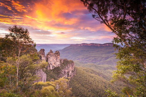 Fully Inclusive Blue Mountains Private Tour Inc Scenic World & Featherdale Entry - Sydneys Hotel 5