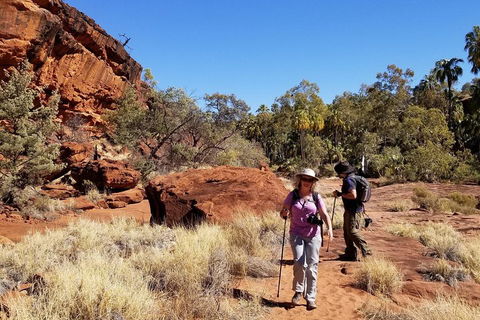 Palm Valley And Hermannsburg 1 Day 4WD Tour - Sydneys Hotel 1