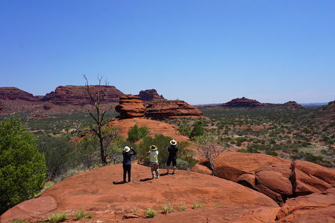 Palm Valley And Hermannsburg 1 Day 4WD Tour - Sydneys Hotel 2