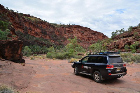 Palm Valley And Hermannsburg 1 Day 4WD Tour - Sydneys Hotel 5