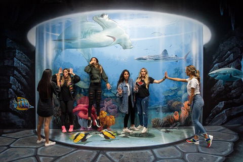 ArtVo Immersive Gallery Experience - Sydneys Hotel 2