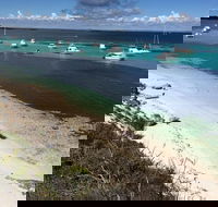 Experience Rottnest with Ferry  Bike Hire from Perth or Fremantle - Sydneys Hotel