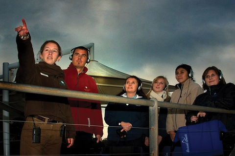 Phillip Island Penguin Parade Express Tour From Melbourne - Sydneys Hotel 1