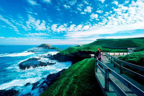 Phillip Island Penguin Parade Express Tour From Melbourne - Sydneys Hotel 4