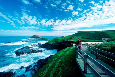 Puffing Billy, Moonlit Sanctuary & Penguins Day Tour - Sydneys Hotel 2