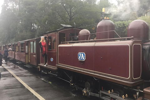 Puffing Billy, Moonlit Sanctuary & Penguins Day Tour - Sydneys Hotel 4