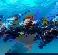 Great Barrier Reef Diving and Snorkeling Cruise from Cairns - Sydneys Hotel