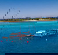 Ocean Free Green Island  Great Barrier Reef Snorkel Cruise Cairns 25 guests - Sydneys Hotel