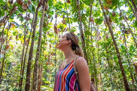 5 Day Australia Retreat: Queensland Daintree - Sydneys Hotel 0